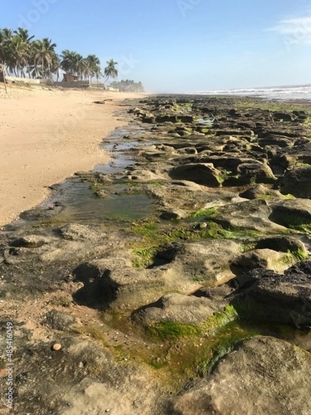 Obraz Linha verde - Bahia