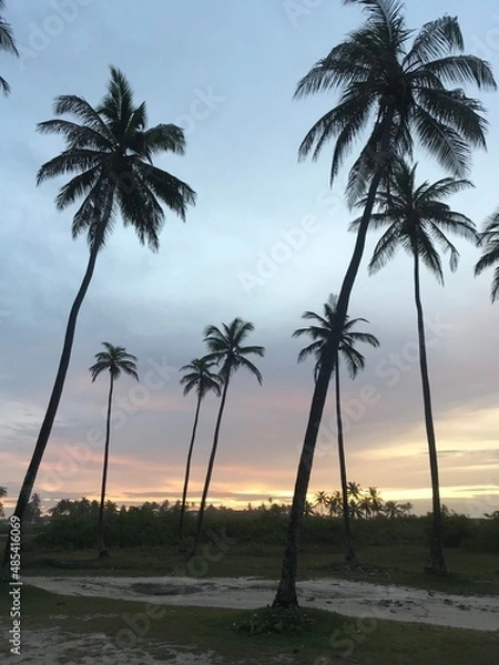 Obraz Linha verde - Bahia