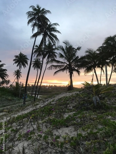 Obraz Linha verde - Bahia