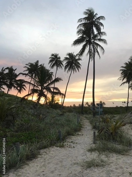 Obraz Linha verde - Bahia