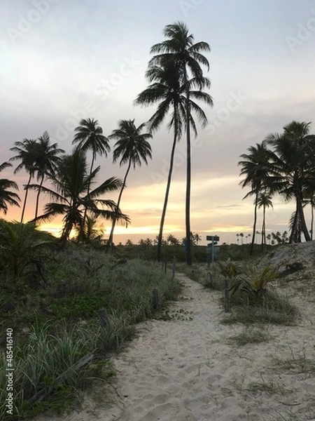 Obraz Linha verde - Bahia