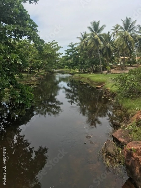 Obraz Linha verde - Bahia