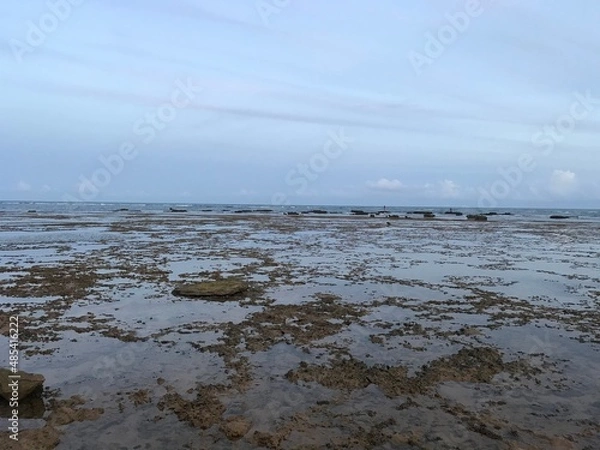 Obraz Linha verde - Bahia