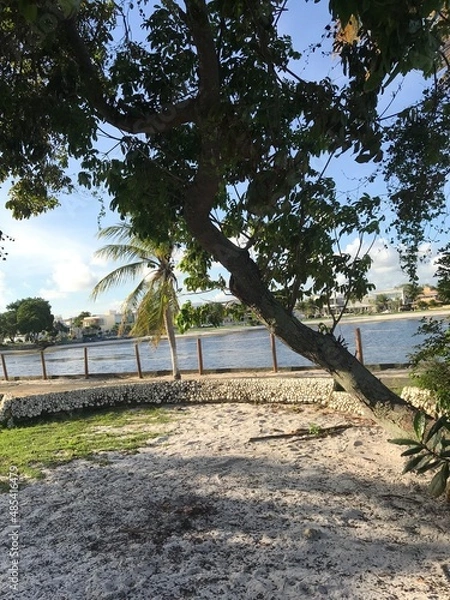 Obraz Linha verde - Bahia