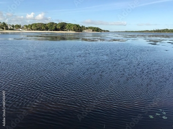 Obraz Linha verde - Bahia