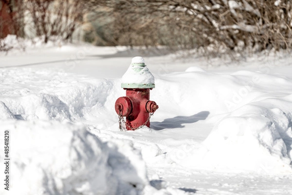 Fototapeta Fire Hydrant in Snow