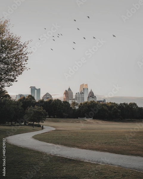 Obraz atlanta skyline