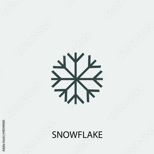 Fototapeta snowflake vector icon illustration sign 