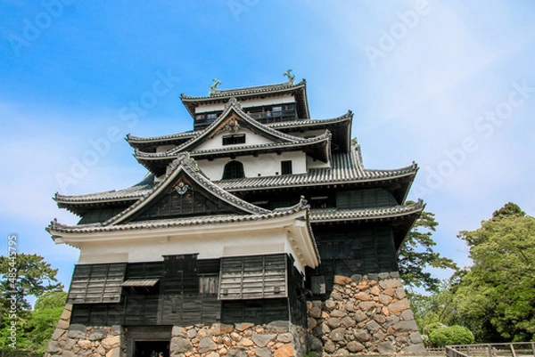 Fototapeta 松江城