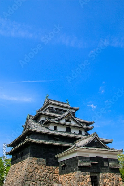 Fototapeta 松江城