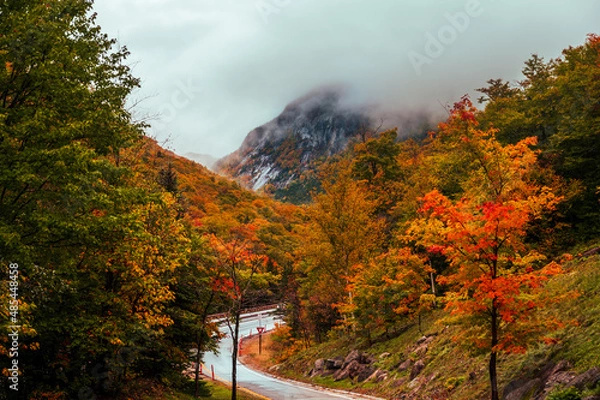 Obraz Fall landscape in the fog