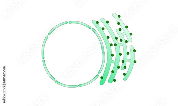 Obraz Rough endoplasmic reticulum 