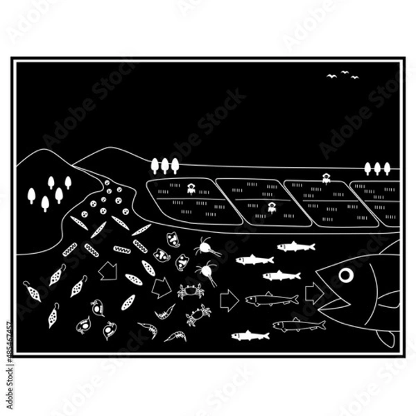 Obraz 食物連鎖のベクターイラスト素材。