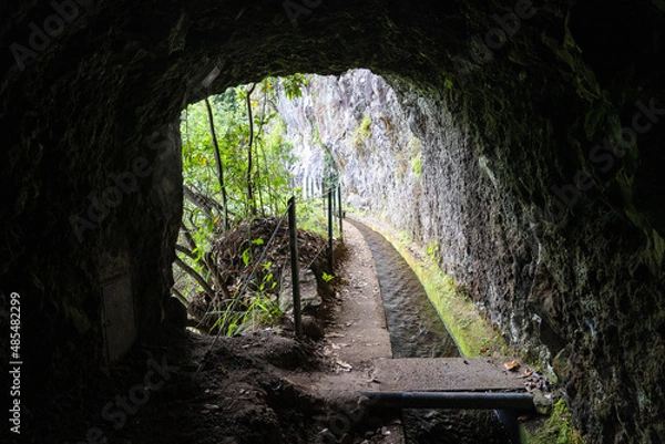Obraz Hiking path in the forest by Levada do Rei
