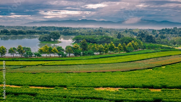 Fototapeta panoramic background of high mountain scenery, overlooking the atmosphere of the sea, trees and wind blowing in a cool blur, spontaneous beauty