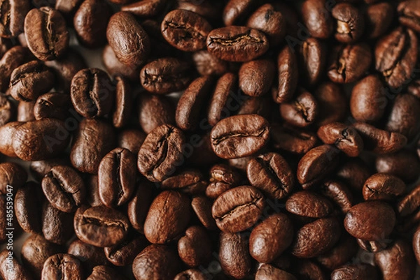 Obraz coffee beans close-up. light roast