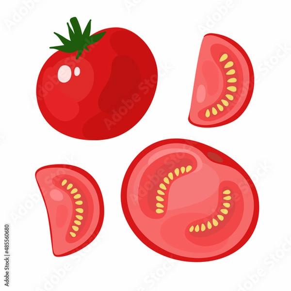 Obraz Vector set with tomato on a white background. Cut vegetable, slices and seeds of tomato.