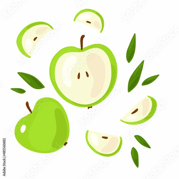 Obraz Vector set with an apple on a white background. Cut fruit, pieces and seeds of an apple. Green apples and leaves