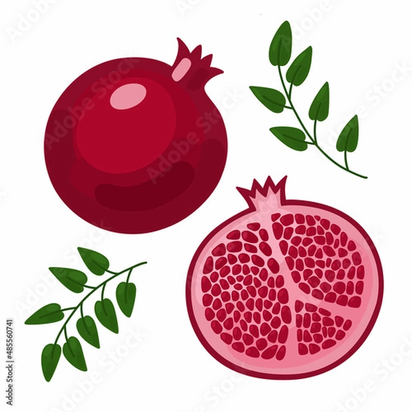 Obraz Vector set with red pomegranate on a white background. Illustration of a ripe halved and whole pomegranate with seeds and leaves.