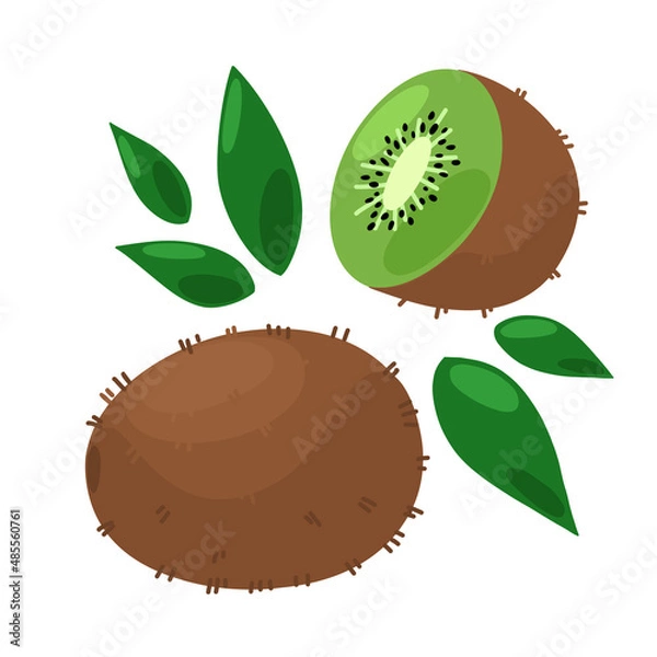 Obraz 
Vector set with green kiwi on a white background. Illustration of halved and whole fruit with seeds and leaves.