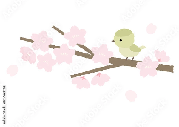 Obraz 鶯と桜のイラスト