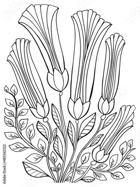 Fototapeta beautiful bouquet of flowers coloring outline illustration black and white picture hand drawing doodle sketch vector for kids and adults postcard sketch poster print