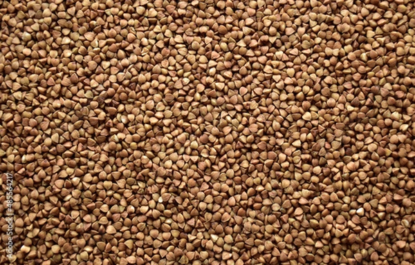 Obraz The texture of raw buckwheat