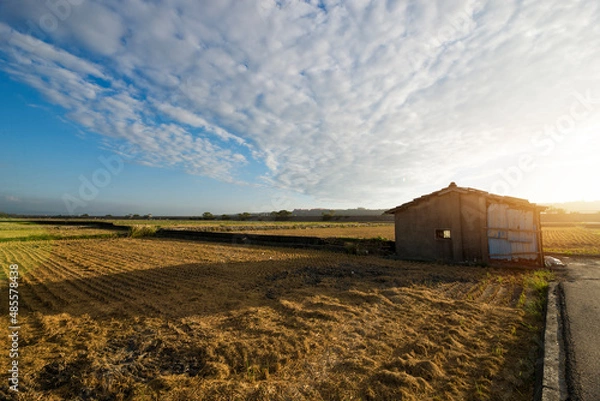 Obraz Summer sunset with a storehouse in paddyfield of Taiwan.