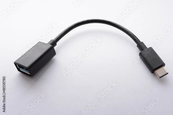 Obraz usb type-c adapter on white background