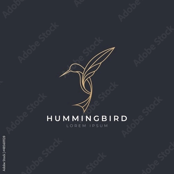 Fototapeta Hummingbird icon logo vector with modern luxury line gold color concept. Abstract humming bird with simple elegant style design vector.