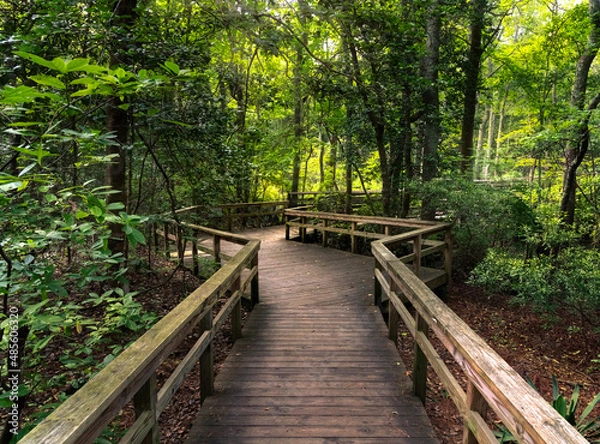 Obraz First Landing State Park