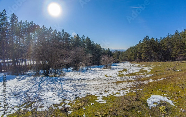 Fototapeta Spring in the mountain