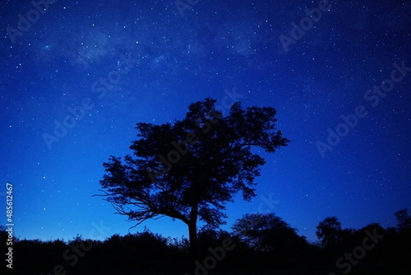 Obraz starry night sky, Parque Copo