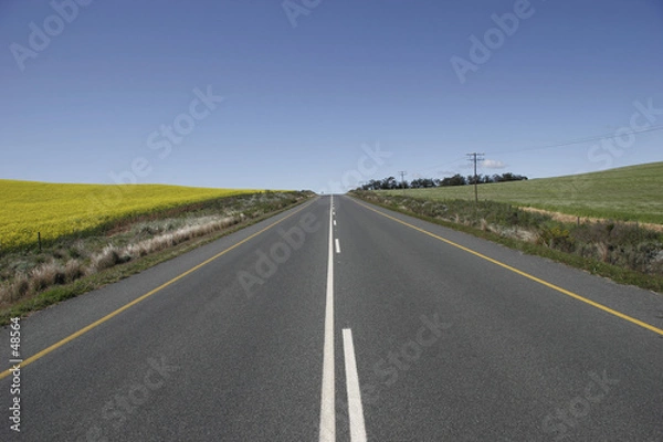 Fototapeta the way forward