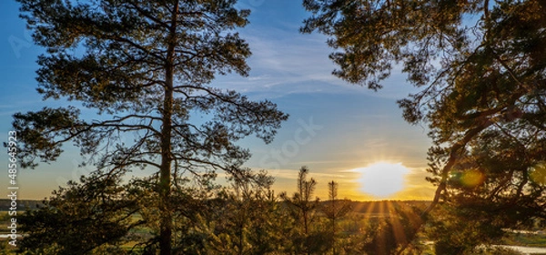 Fototapeta Spring background with a beautiful sunset landscape in the forest