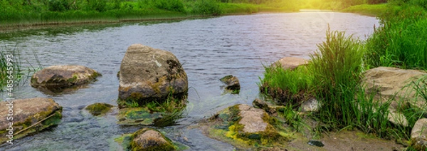 Fototapeta Spring background with a beautiful landscape on the river, nature in summer