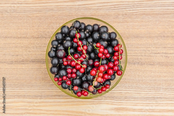Fototapeta Black currant and several branches of red currant.