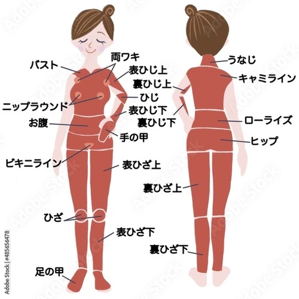 Obraz 脱毛_部位_女性