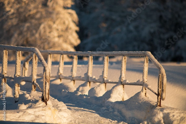 Obraz  Blurred winter background.