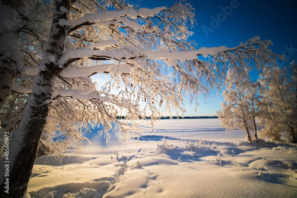 Obraz  Blurred winter background.