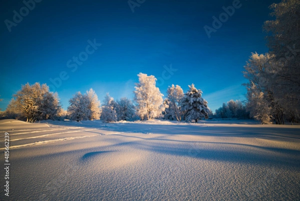 Obraz  Blurred winter background.