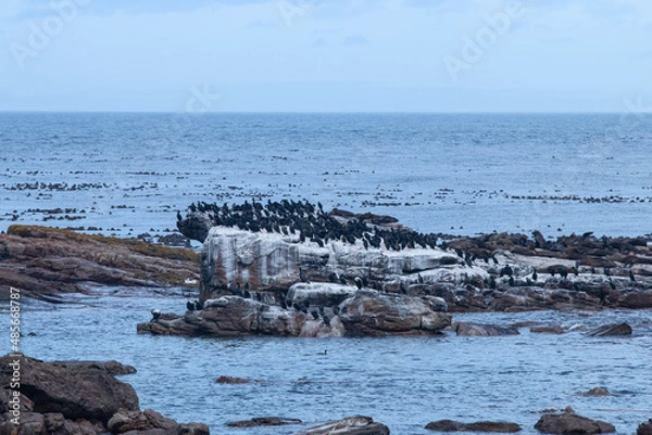 Fototapeta Südafrika