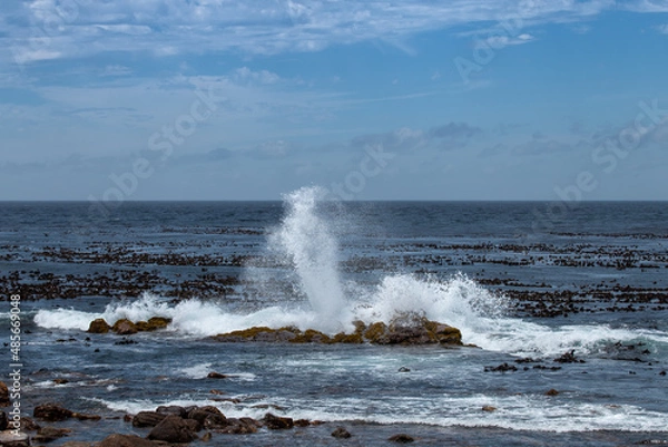 Fototapeta Südafrika