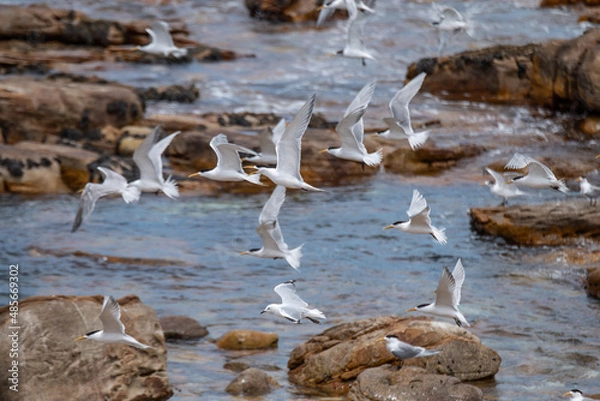 Fototapeta Südafrika