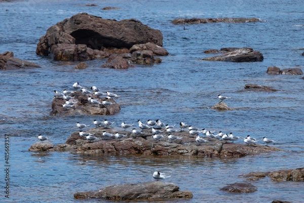 Fototapeta Südafrika
