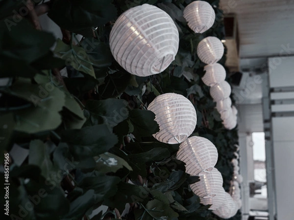 Fototapeta Green wall with small Chinese paper lanterns. House facade design.