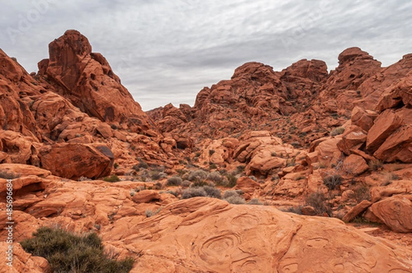 Fototapeta Overton, Nevada, USA - February 25, 2010: Valley of Fire. Wide landscape with range of red rocks and circular patterns on desert floor rock under gray cloudscape. Green bushes dispersed.