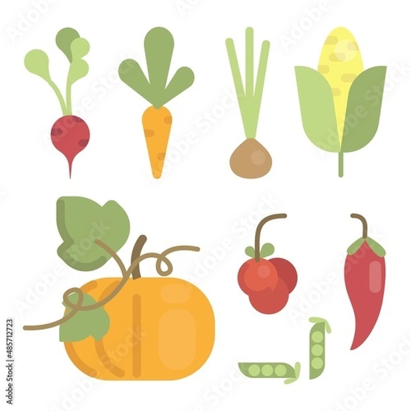 Obraz Vector set illustration with cute and simple vegetables, radish, carrot, onion, corn, pumpkin, cherry tomatoes, peas, pepper