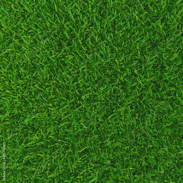 Fototapeta Green grass natural background. Texture spring green grass. 3d illustration.