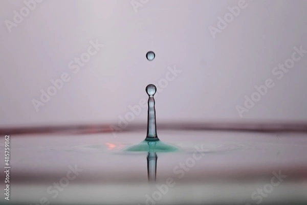 Fototapeta drop of water